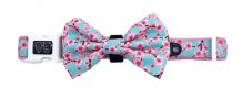 Cherry Blossoms Dog Collar & Bow Tie